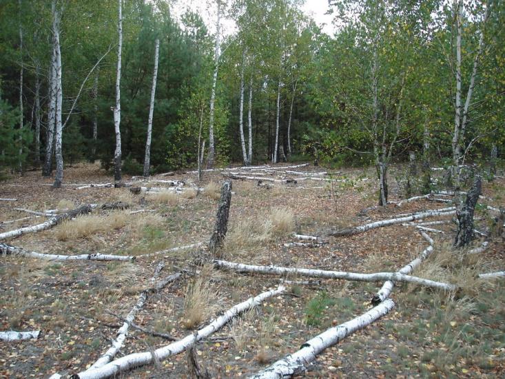 Нижча Дубечня з panoramio.com - Нижча Дубечня