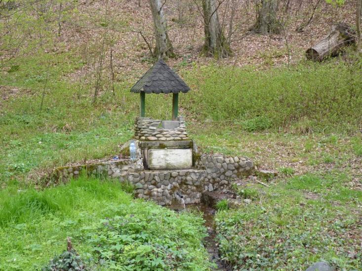 Виноградів з panoramio.com - Vynogradiv