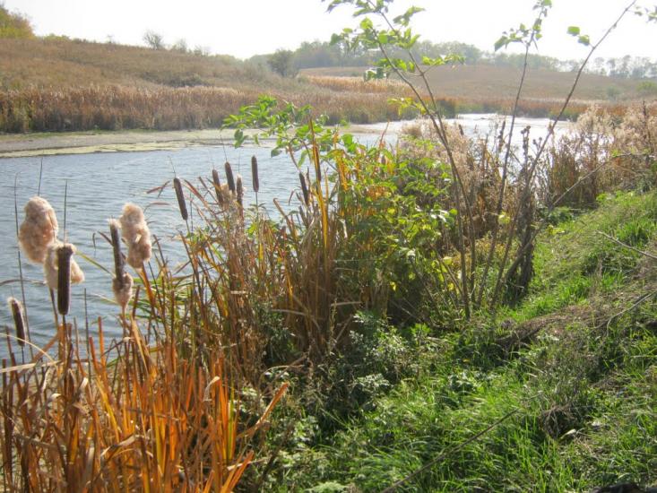 Промінь з panoramio.com - Проминь