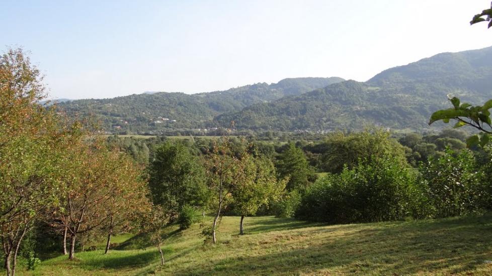 Луг з panoramio.com - Луг