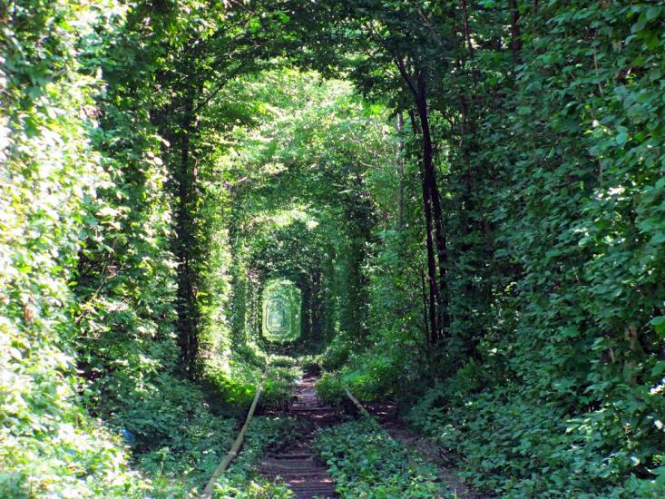 Клевань з panoramio.com - Klevan