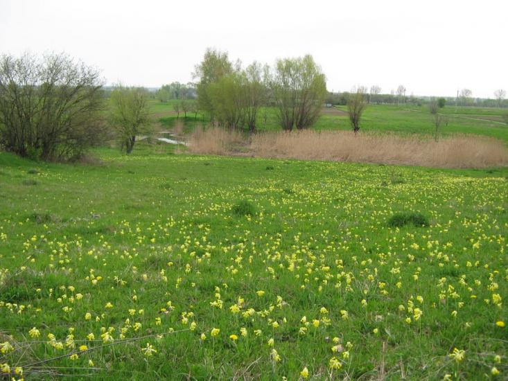 Дебеславці з panoramio.com - Debeslavtsi