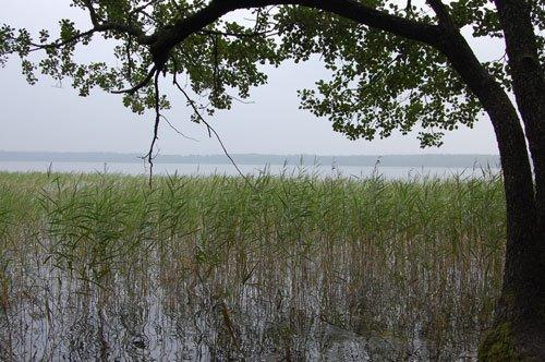 Мельники з panoramio.com - Мельники