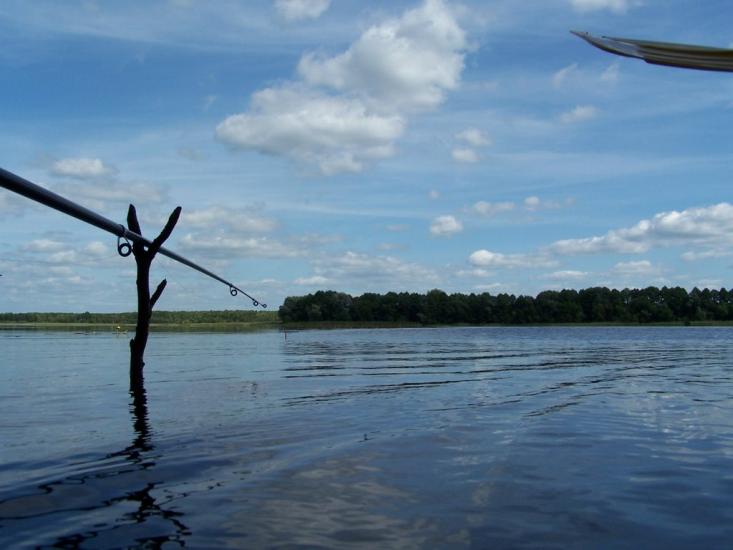Мельники з panoramio.com - Мельники