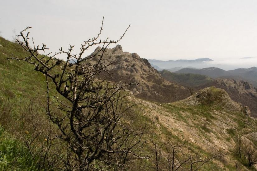 Міжріччя з panoramio.com - Міжріччя