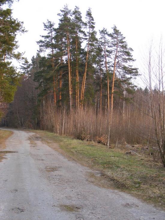 Кузьки з panoramio.com - Кузьки