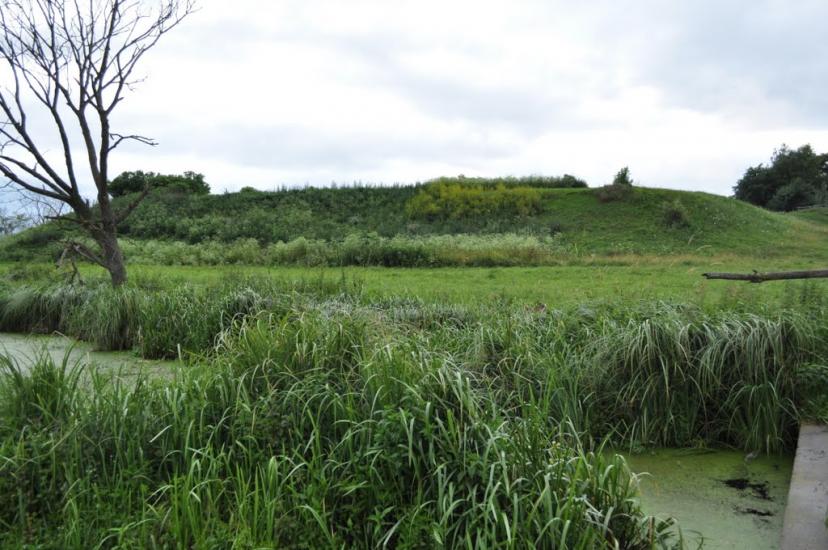 Заріцьк з panoramio.com - Зарецк