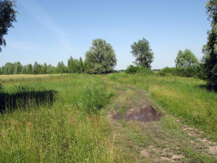 Грабівка з panoramio.com - Грабівка