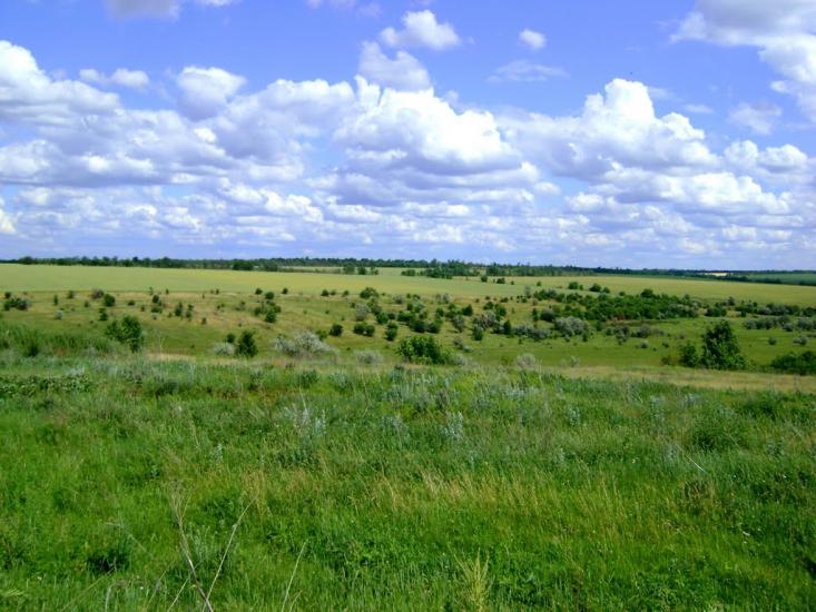 Андріївка з panoramio.com - Andriyivka