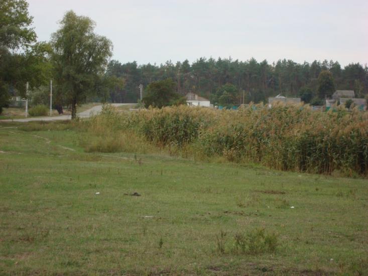 Іванків з panoramio.com - Иванков