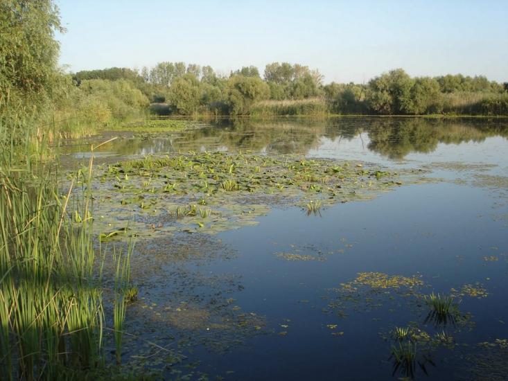 Новосільське з panoramio.com - Novosilske
