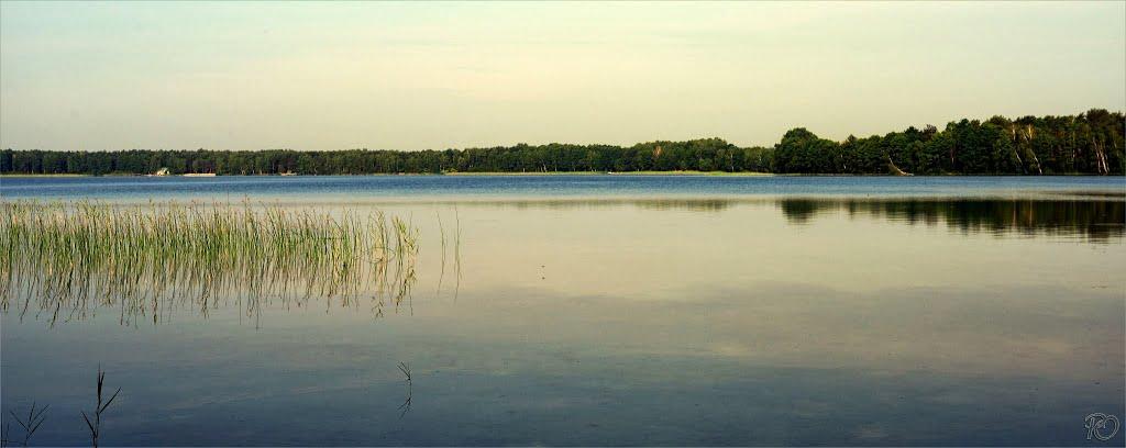 Мельники з panoramio.com - Мельники