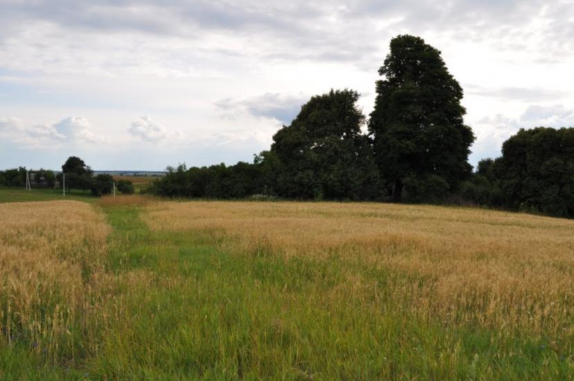 Заріцьк з panoramio.com - Заріцьк