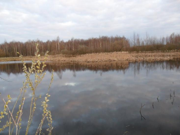 Абрамок з panoramio.com - Абрамок