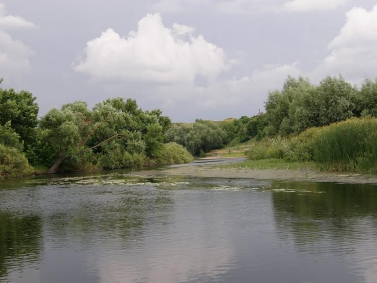 Тарасівка з panoramio.com - Тарасівка