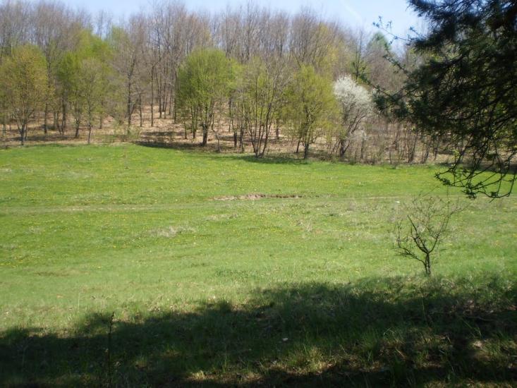 Комаргород з panoramio.com - Комаргород