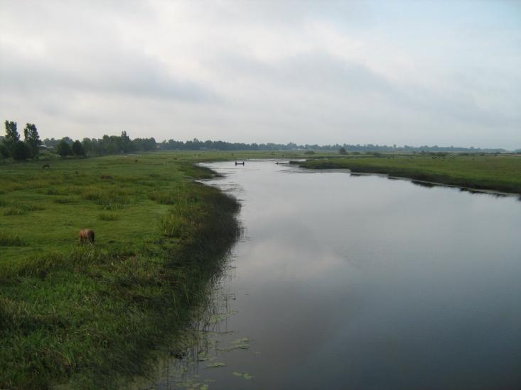 Бузаки з panoramio.com - Бузаки