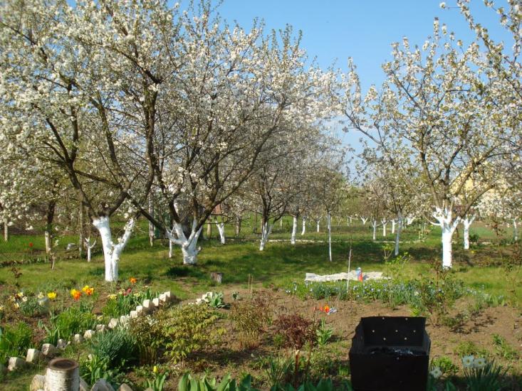 Маяки з panoramio.com - Маяки