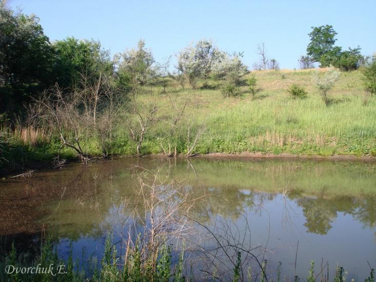 Христофорівка з panoramio.com - Христофоровка