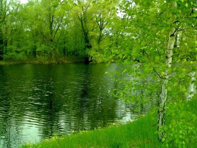 Соболівка з panoramio.com - Соболівка