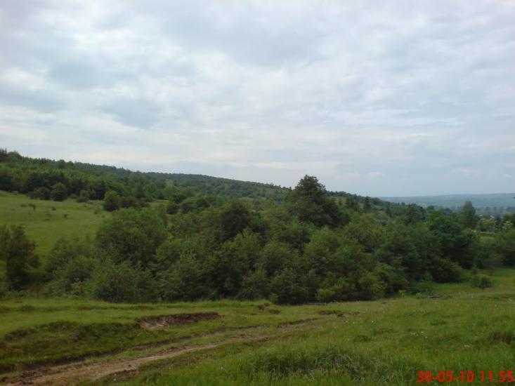 Підмихайля з panoramio.com - Підмихайля