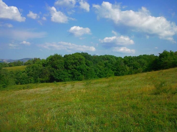 Краснолісся з panoramio.com - Краснолісся