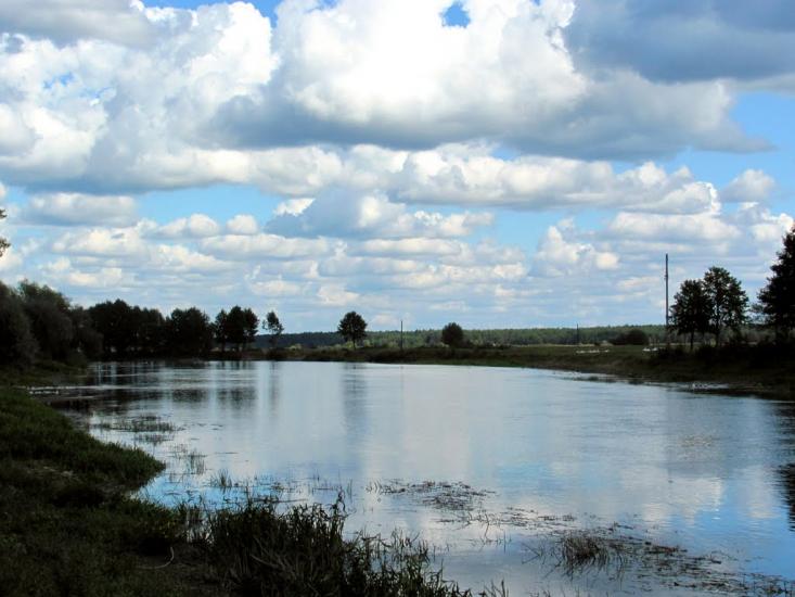 Степань з panoramio.com - Степань