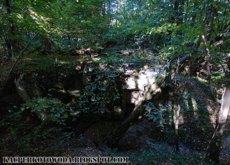 Дев'ятир з panoramio.com - Девятир