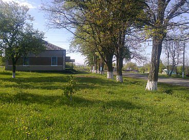 Лисича Балка з panoramio.com - Лисича Балка