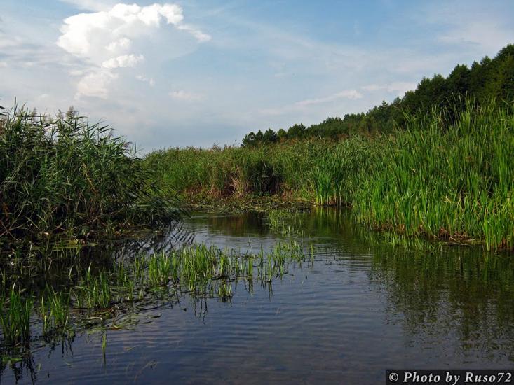 Рожів з panoramio.com - Рожев