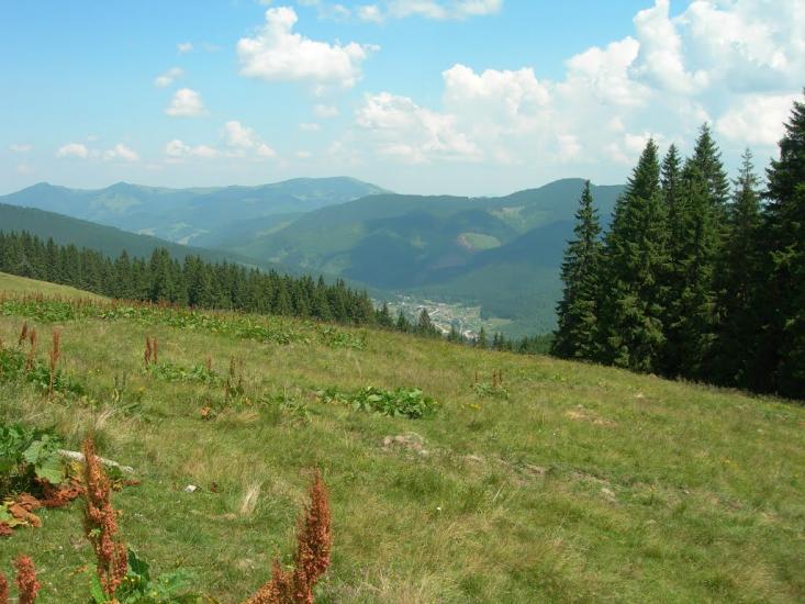 Буркут з panoramio.com - Буркут