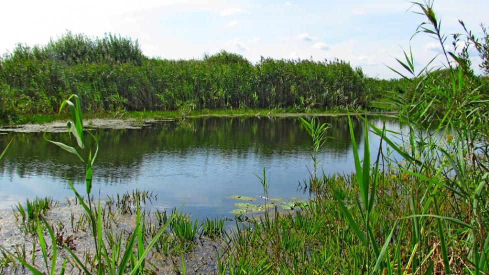 Кузнецовськ з panoramio.com - Вараш