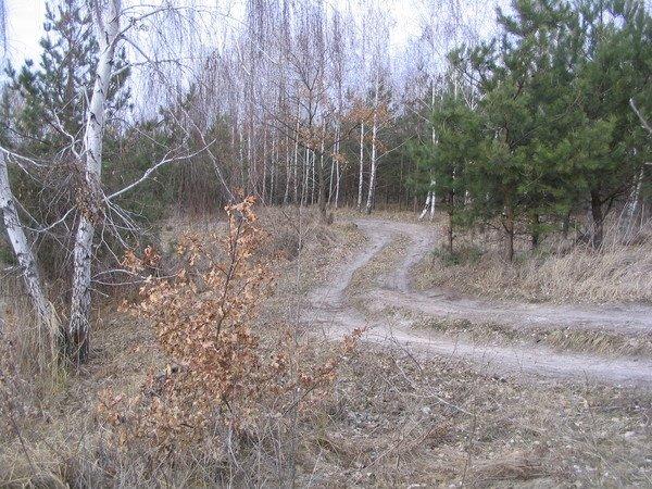 Хоцьки з panoramio.com - Хоцки