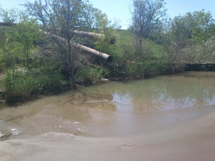 Усть-Кам'янка з panoramio.com - Усть-Кам'янка