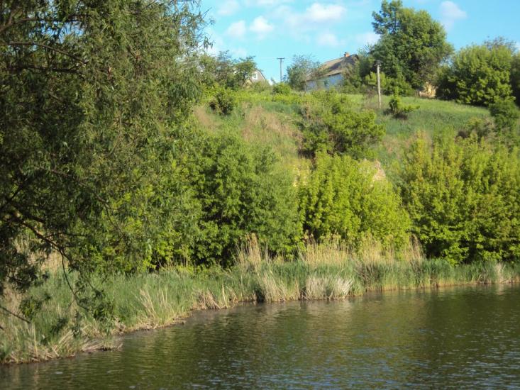 Мартинівка з panoramio.com - Мартинівка