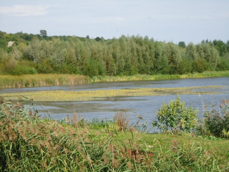 Митківці з panoramio.com - Мытковцы
