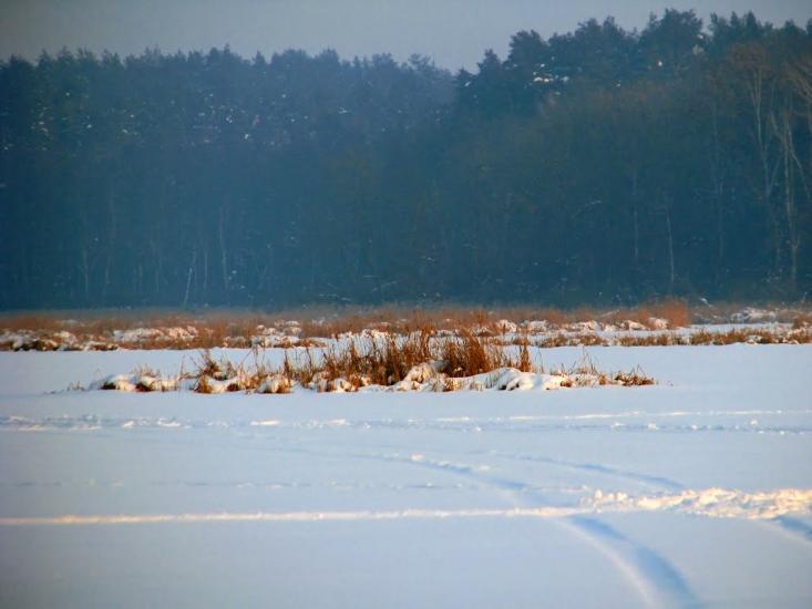 Волиця з panoramio.com - Волица