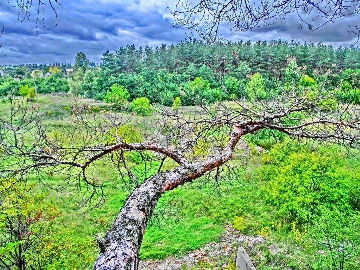 Олександро-Степанівка з panoramio.com - Александро-Степановка