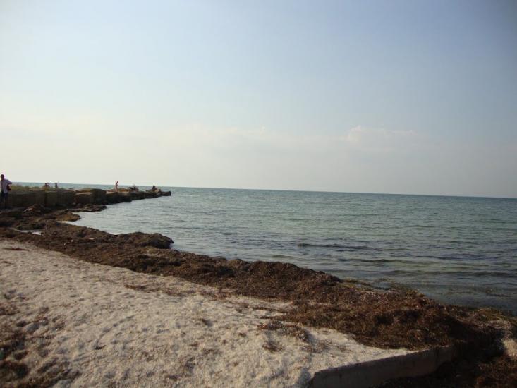 Портове з panoramio.com - Портове