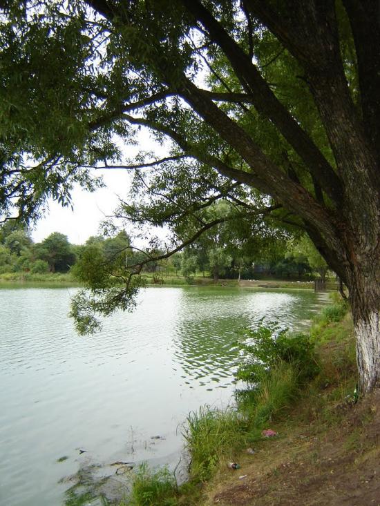 Вороніж з panoramio.com - Воронеж