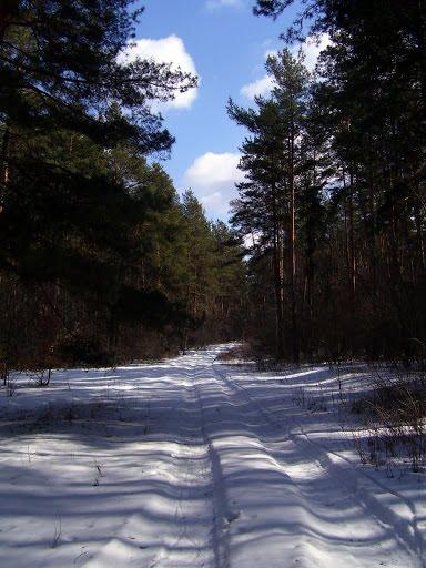 Вільхуватка з panoramio.com - Вільхуватка