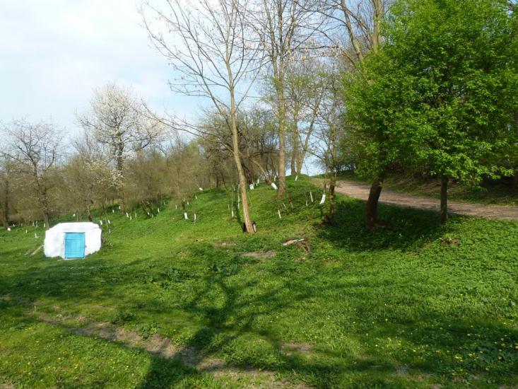 Бзовиця з panoramio.com - Бзовица