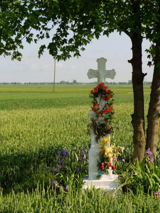 Стаївка з panoramio.com - Стаївка