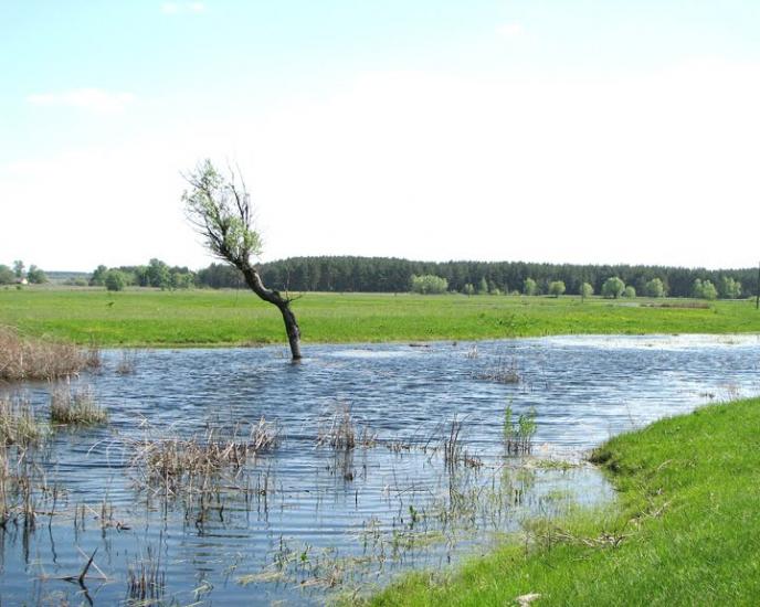 Балаклія з panoramio.com - Балаклея