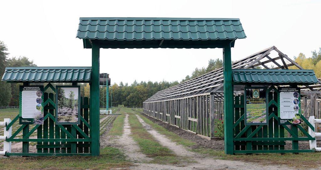 Борівське з panoramio.com - Борівське