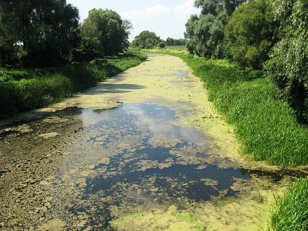 мои фото - Селище