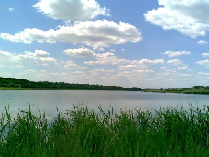 Бурлацьке з panoramio.com - Бурлацьке