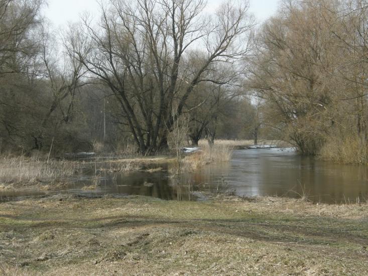 Оржиця з panoramio.com - Оржица
