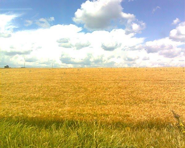 Маньківка з panoramio.com - Маньківка