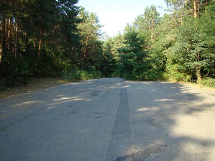 Лісники з panoramio.com - Лесники